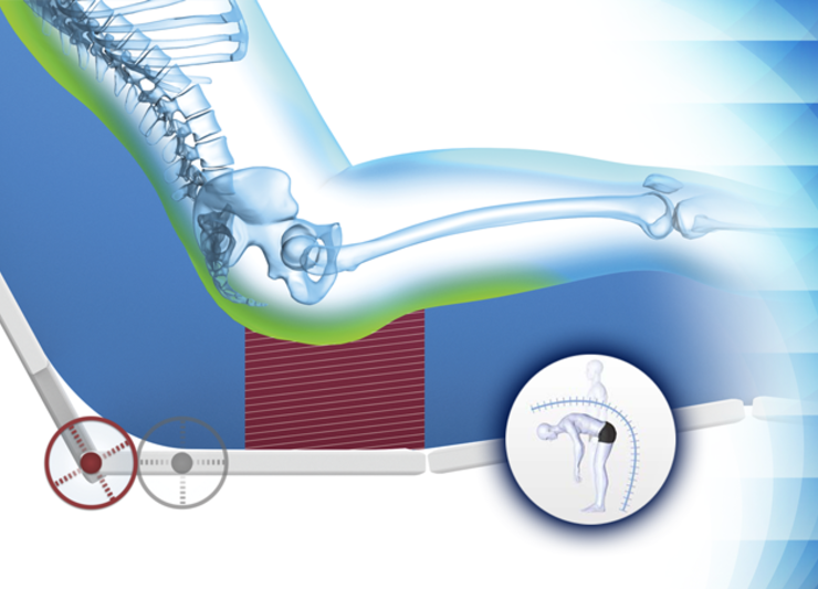 A x-ray scan of a patients spine and hip bones in a seated position.