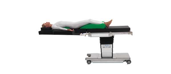 Vascular System Package